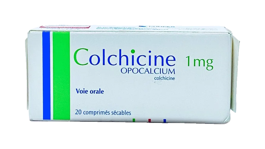 Kolkisin